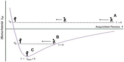 Critical period in second language acquisition: The age-attainment geometry